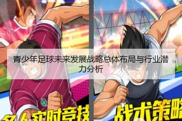 青少年足球未来发展战略总体布局与行业潜力分析
