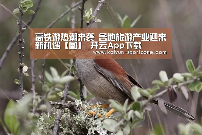 开云体育下载
