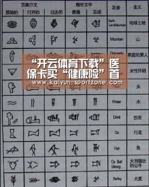开云App下载