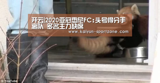 开云体育下载