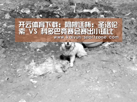 开云App下载